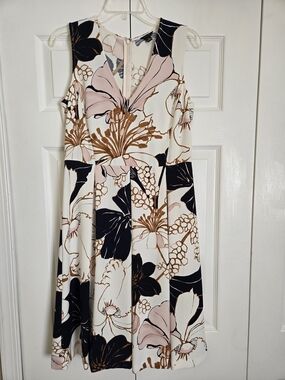 Ann Taylor Cream, Navy & Blush Floral Dress